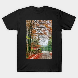 Street of Seasons. T-Shirt